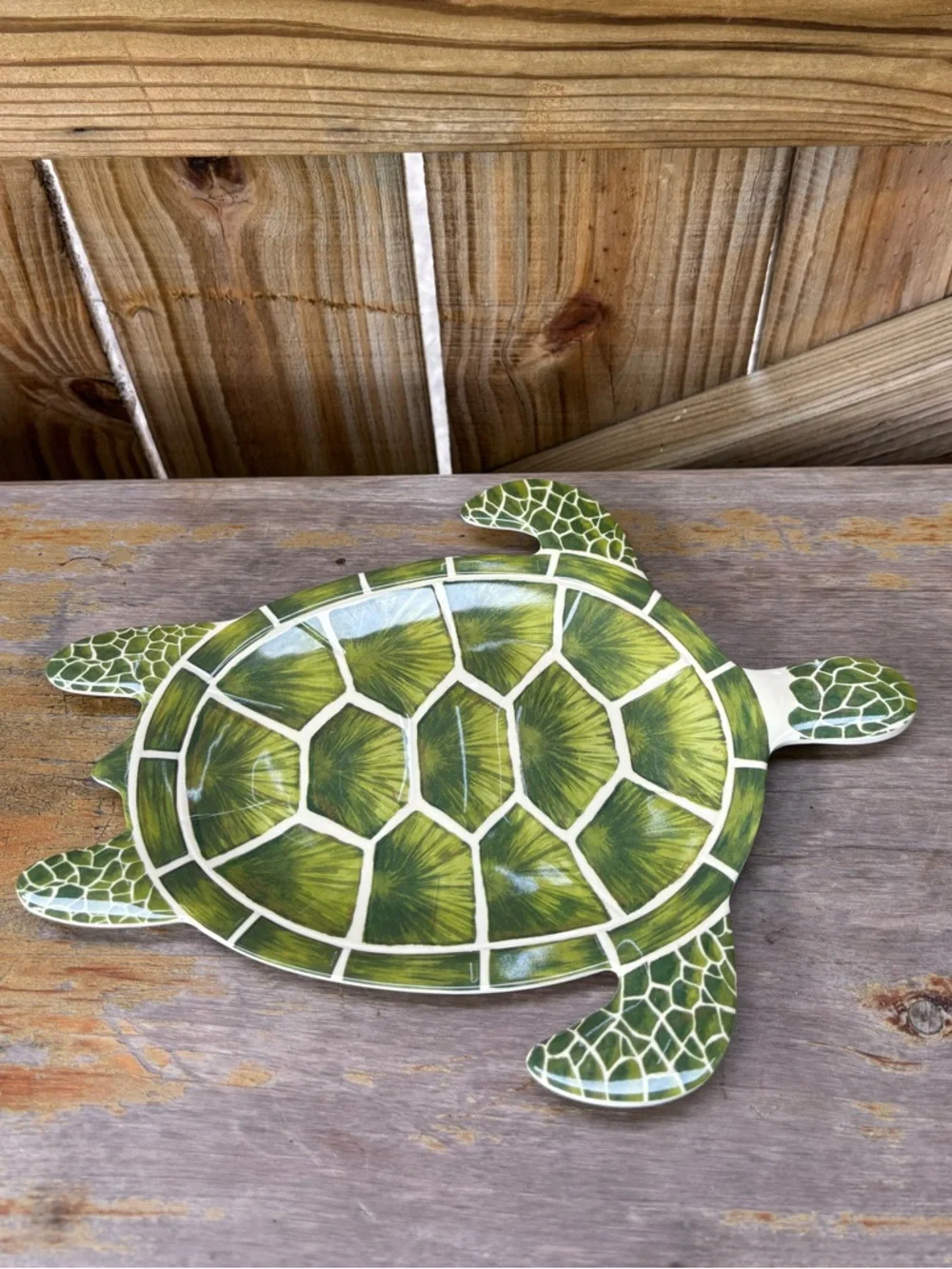 Pier 1 Imports Speedy The Turtle Melamine Snack / Dessert Plate
